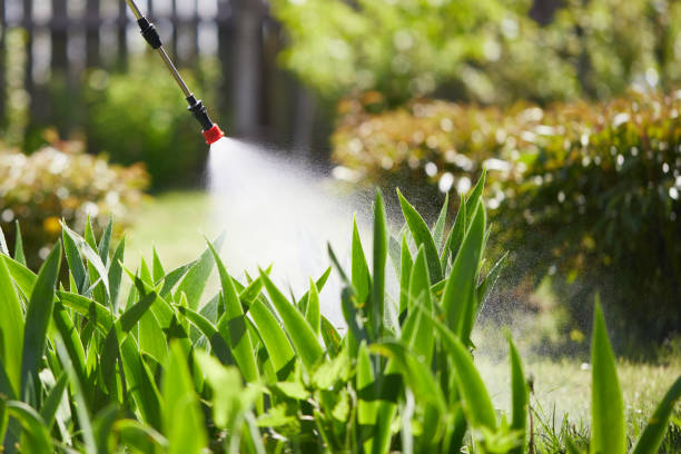 24/7 Emergency Mosquito Control experts in Pine Bush, NY