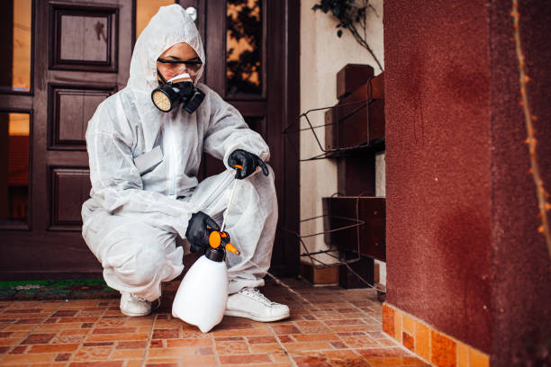 Reliable Mosquito Control contractor in Pine Bush, NY by Show Me Pest Control